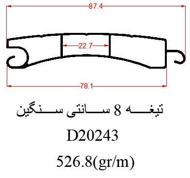D20243