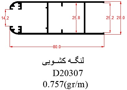 D20307