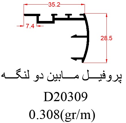 D20309