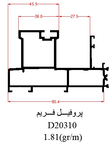 D20310